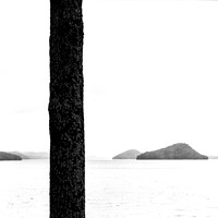 Observer